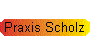 Praxis Scholz
