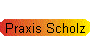 Praxis Scholz